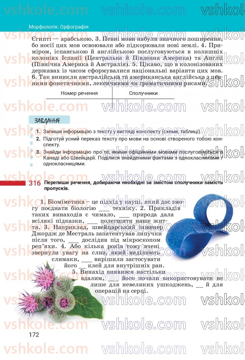 Страница 172 | Підручник Українська мова 7 клас А.В. Онатій, Т.П. Ткачук 2024