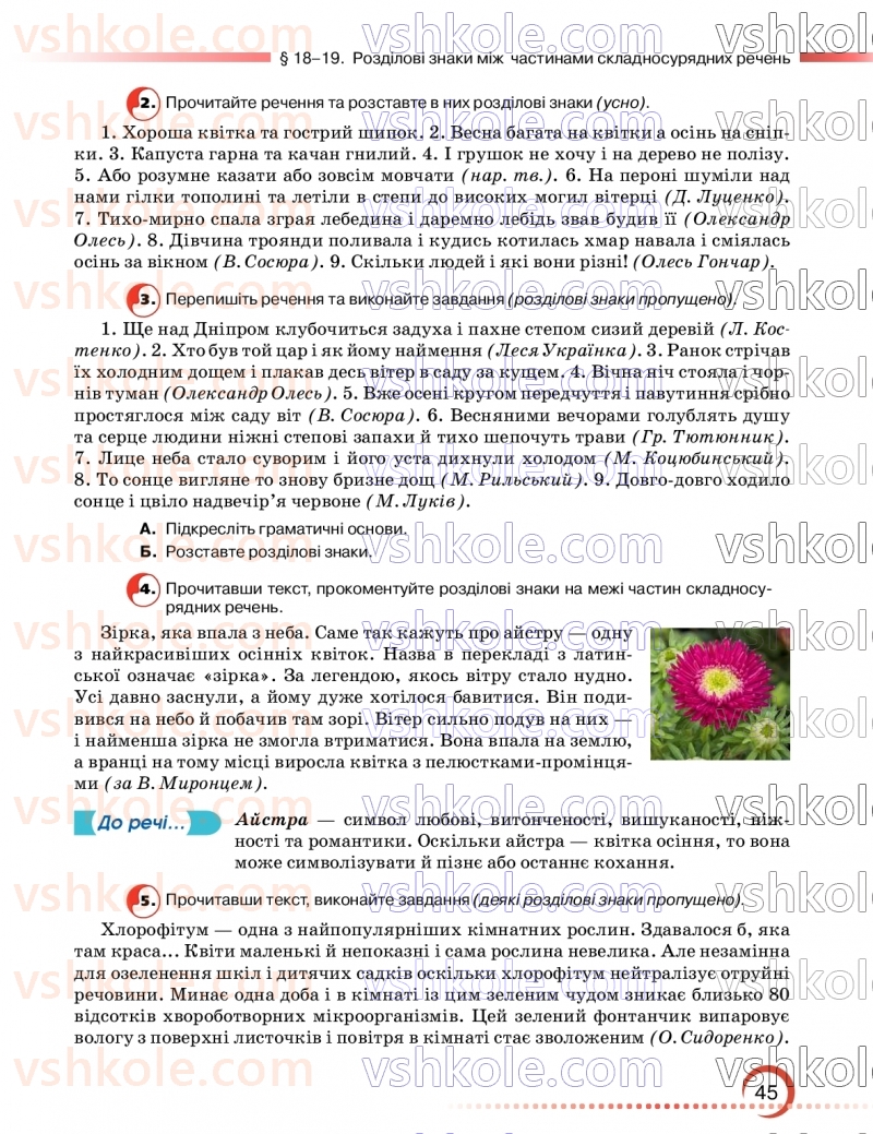 Страница 45 | Підручник Українська мова 9 клас О.М. Авраменко, З.Р. Тищенко 2026
