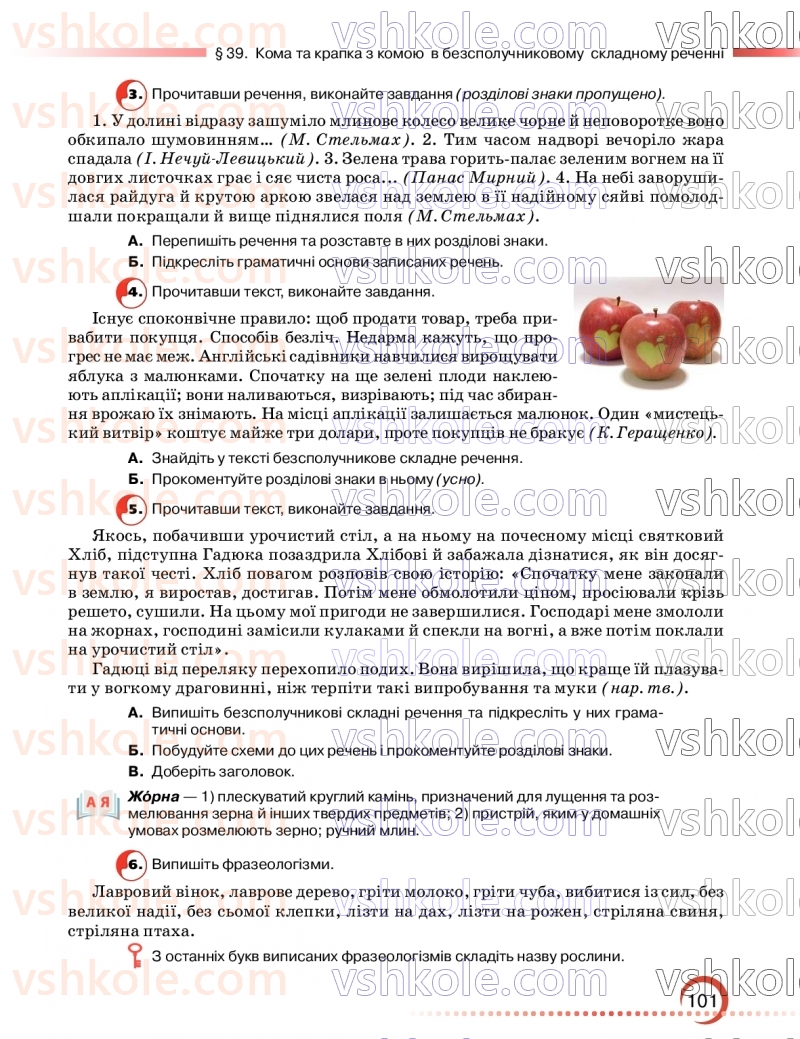 Страница 101 | Підручник Українська мова 9 клас О.М. Авраменко, З.Р. Тищенко 2026