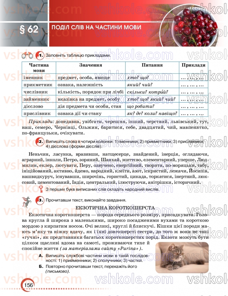 Страница 156 | Підручник Українська мова 9 клас О.М. Авраменко, З.Р. Тищенко 2026