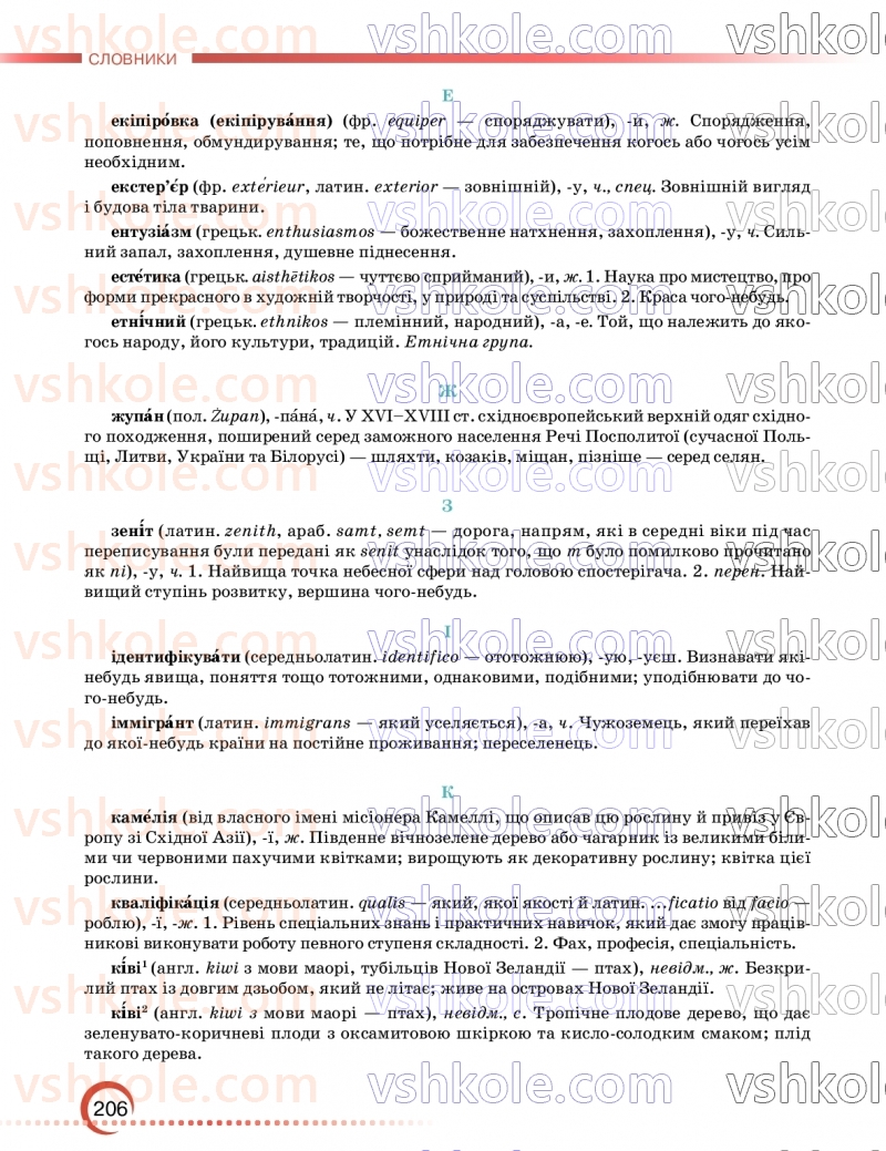 Страница 206 | Підручник Українська мова 9 клас О.М. Авраменко, З.Р. Тищенко 2026