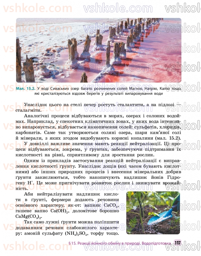 Страница 117 | Підручник Хімія 9 клас О.В. Григорович, О.Ю. Недоруб 2026