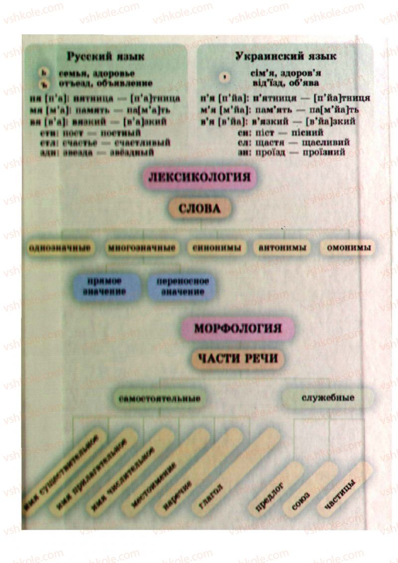 Страница 298 | Підручник Русский язык 5 клас А.Н. Рудяков, Т.Я. Фролова, М.Г. Маркина-Гурджи 2013 Пятый год обучения