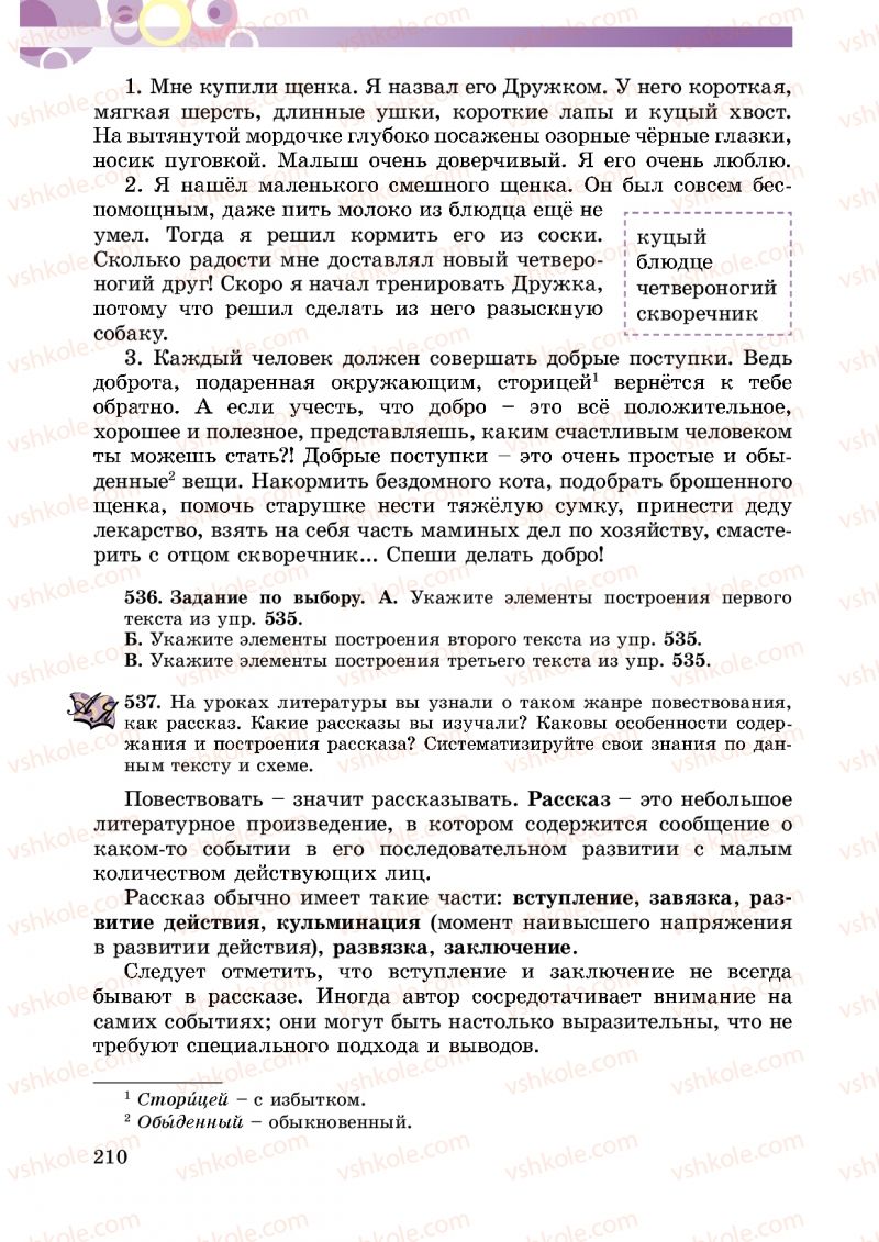 Страница 210 | Підручник Русский язык 5 клас Т.М. Полякова, Е.И. Самонова 2013