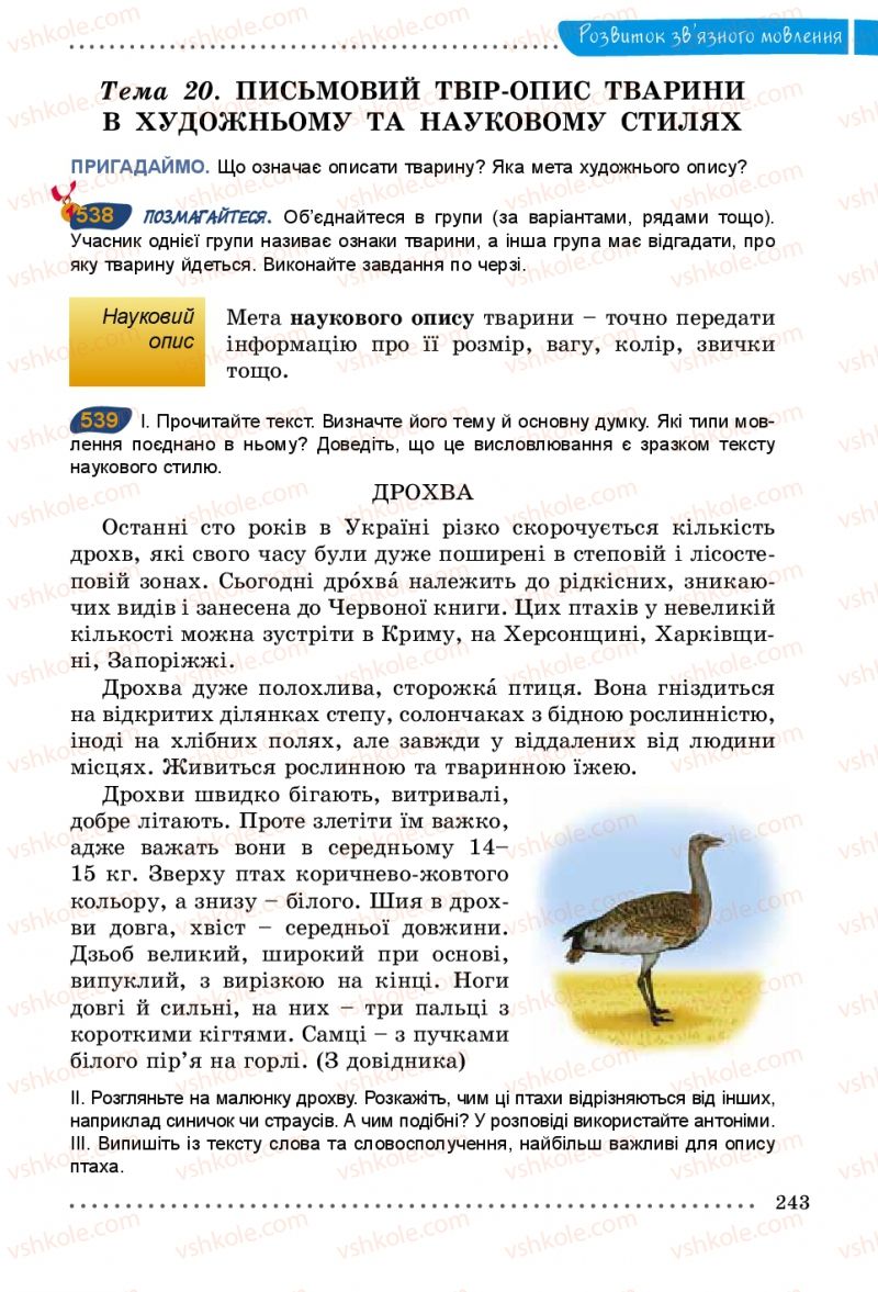 Страница 243 | Підручник Українська мова 5 клас О.В. Заболотний 2013