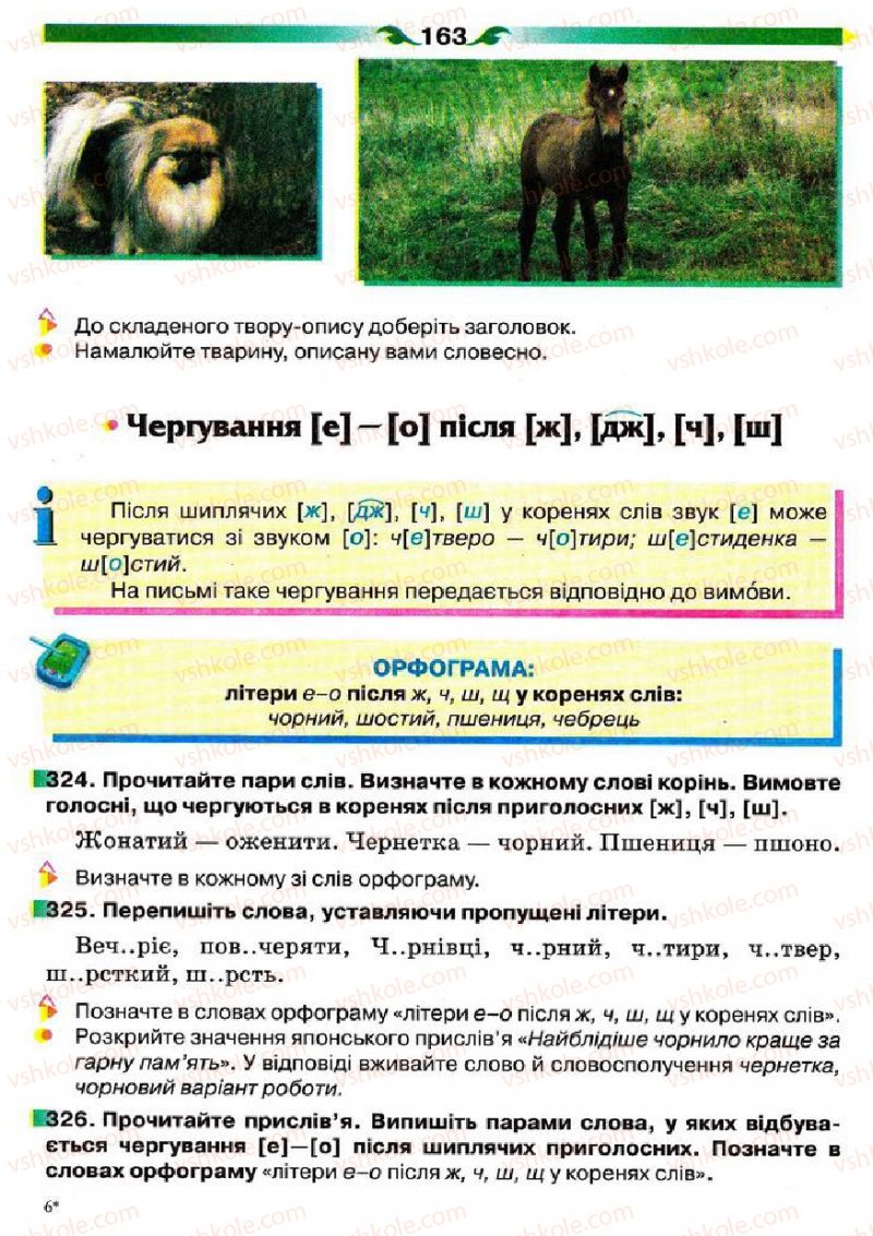 Страница 163 | Підручник Українська мова 5 клас О.П. Глазова 2013