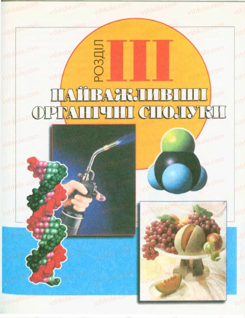 Страница 119 | Підручник Хімія 9 клас Н.М. Буринська, Л.П. Величко 2009