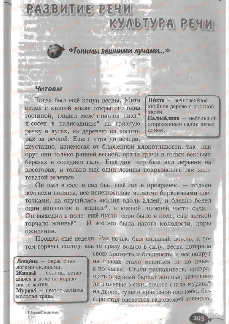 Страница 305 | Підручник Русский язык 6 клас Н.Ф. Баландина, К.В. Дегтярёва, С.А. Лебеденко 2010