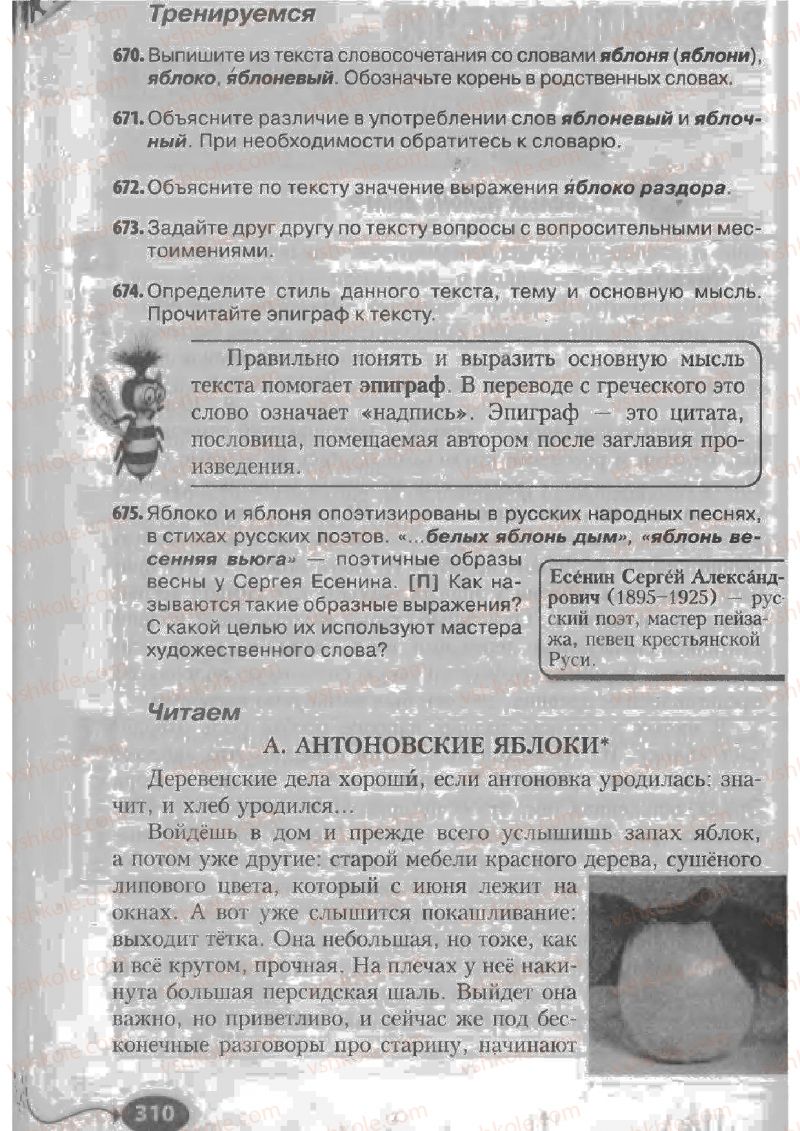 Страница 310 | Підручник Русский язык 6 клас Н.Ф. Баландина, К.В. Дегтярёва, С.А. Лебеденко 2010