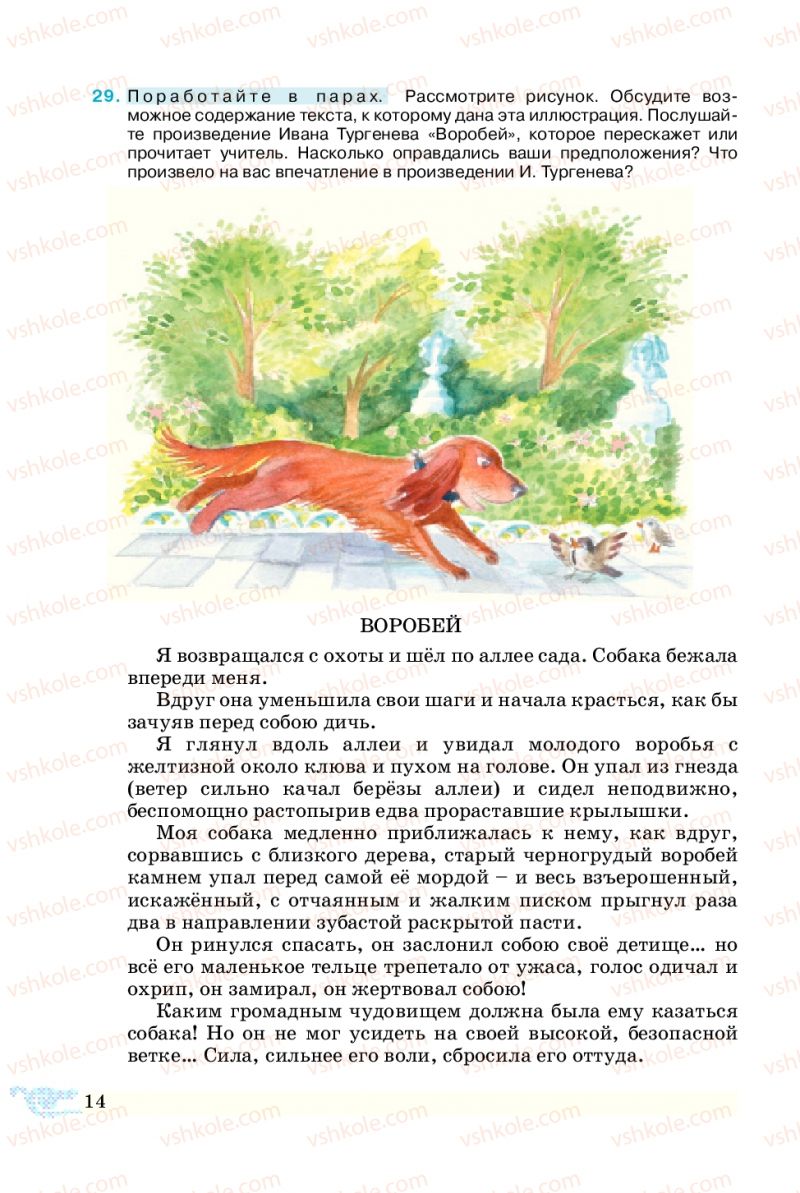 Страница 14 | Підручник Русский язык 5 клас В.А. Корсаков 2013