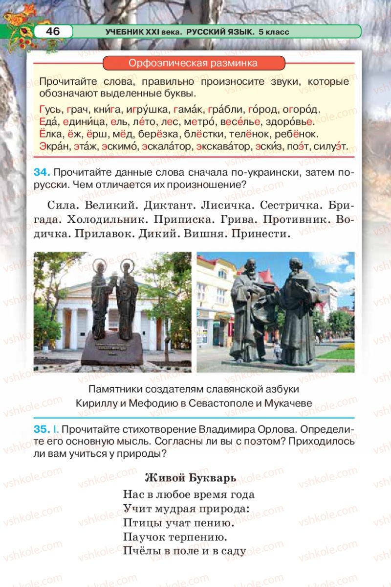 Страница 46 | Підручник Русский язык 5 клас Л.В. Давидюк 2013