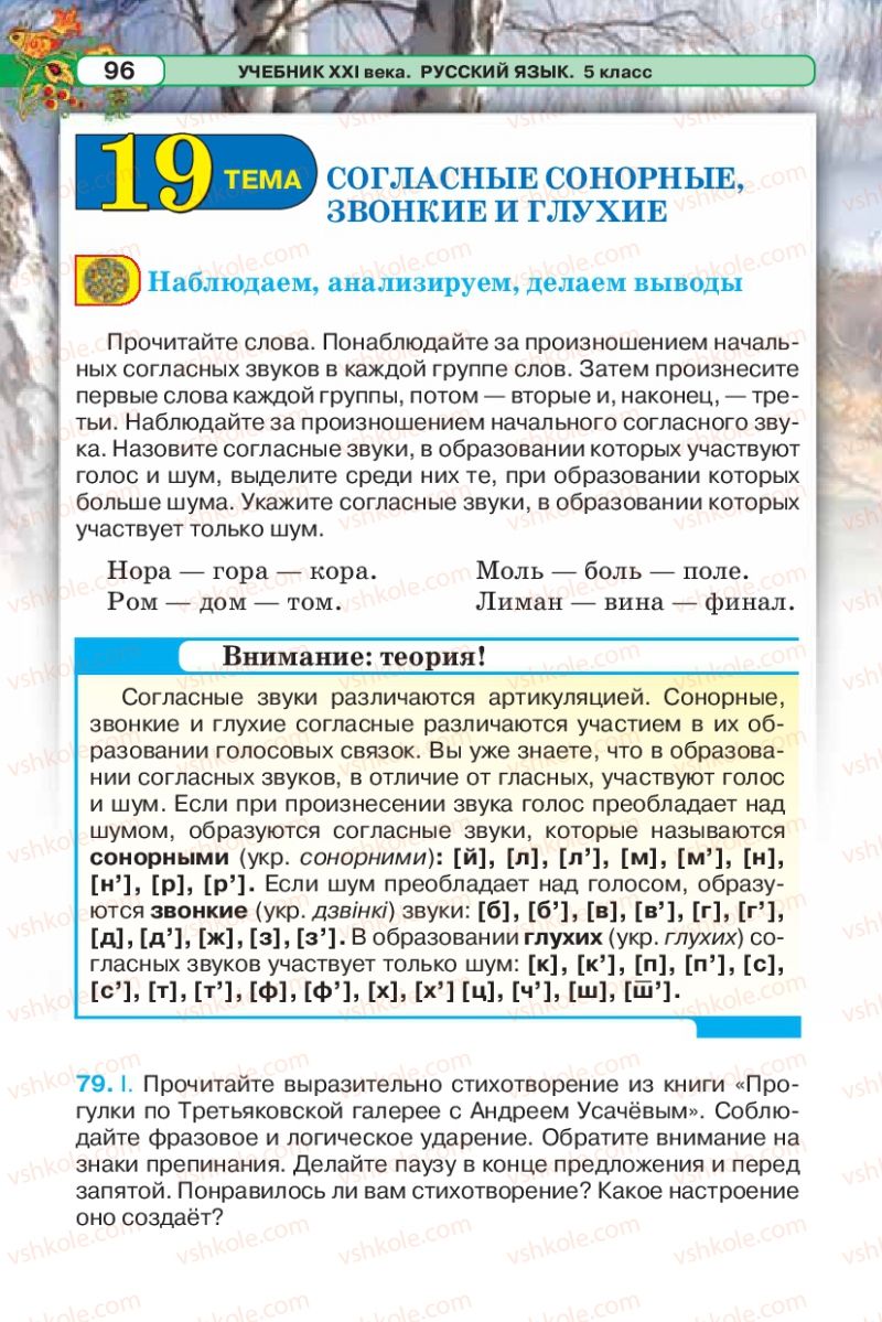 Страница 96 | Підручник Русский язык 5 клас Л.В. Давидюк 2013