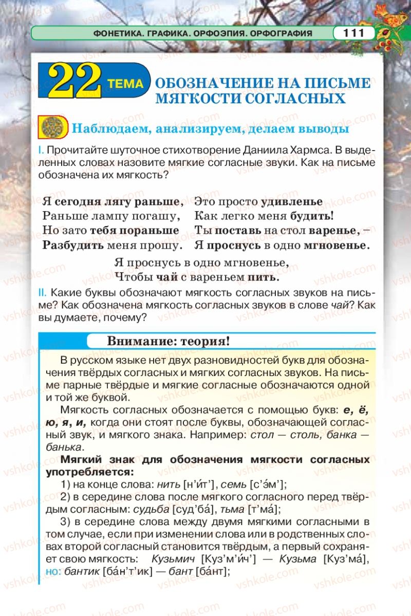 Страница 111 | Підручник Русский язык 5 клас Л.В. Давидюк 2013