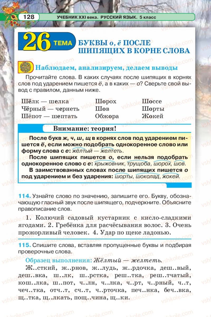 Страница 128 | Підручник Русский язык 5 клас Л.В. Давидюк 2013