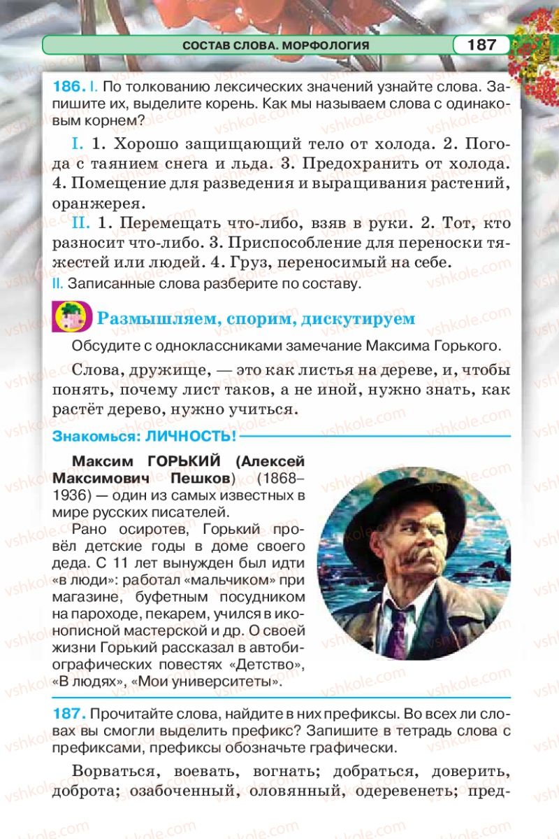 Страница 187 | Підручник Русский язык 5 клас Л.В. Давидюк 2013