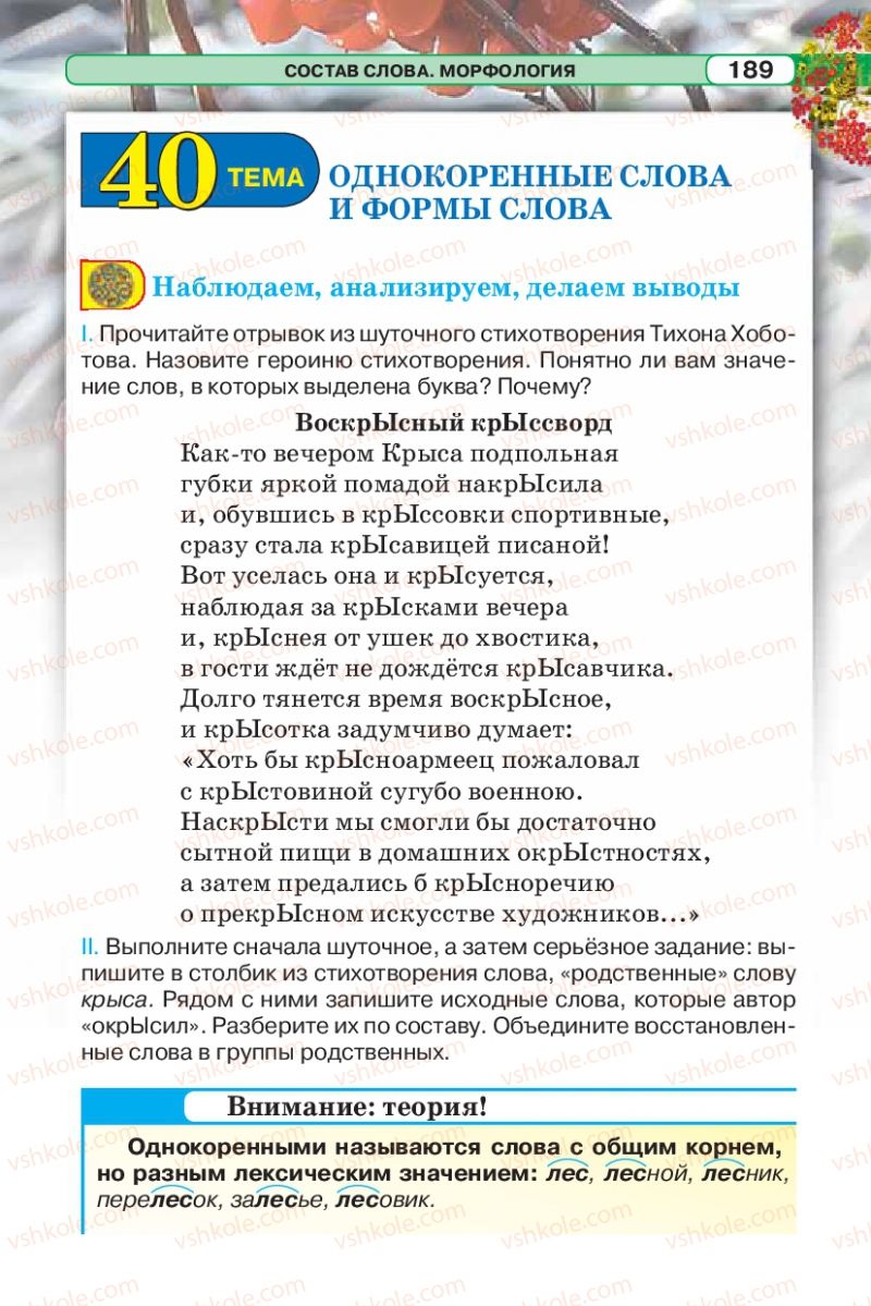 Страница 189 | Підручник Русский язык 5 клас Л.В. Давидюк 2013