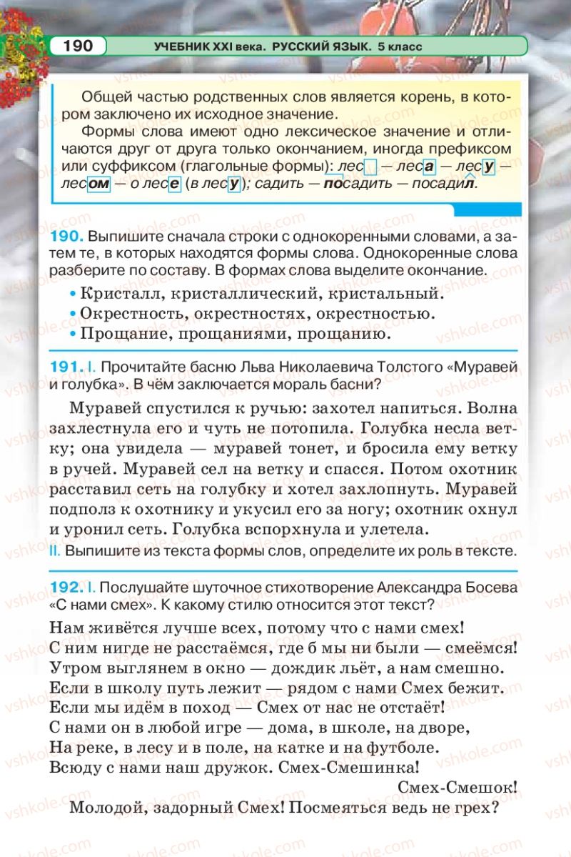 Страница 190 | Підручник Русский язык 5 клас Л.В. Давидюк 2013