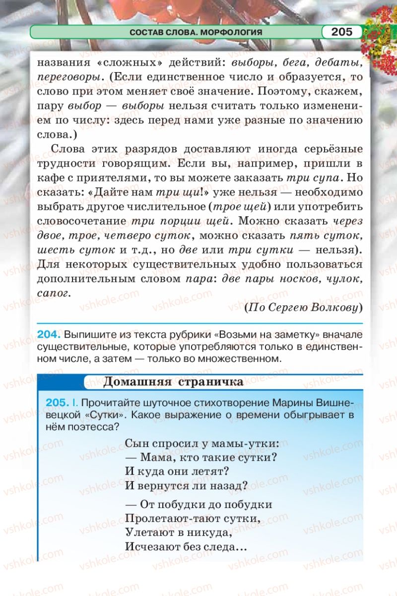 Страница 205 | Підручник Русский язык 5 клас Л.В. Давидюк 2013