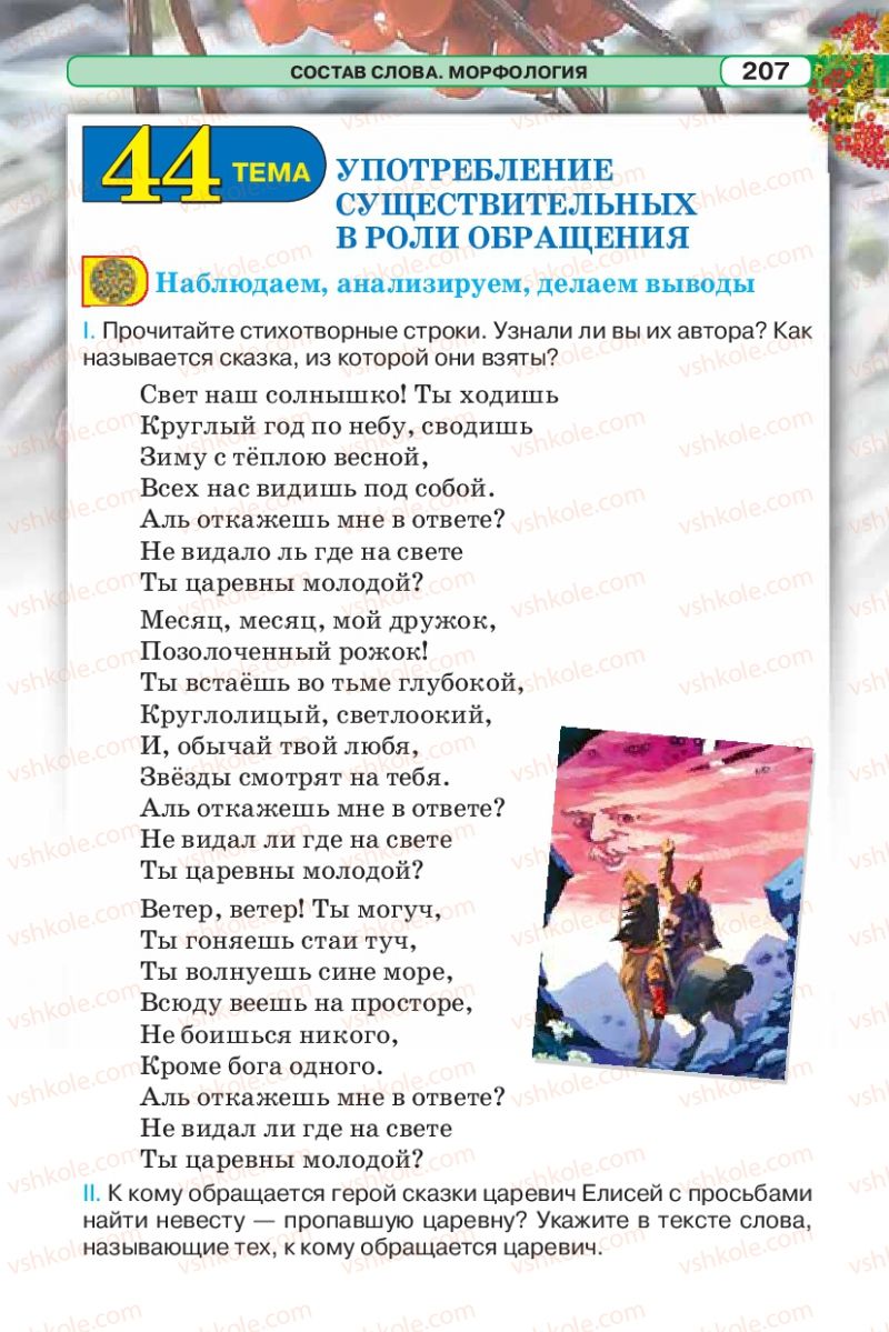 Страница 207 | Підручник Русский язык 5 клас Л.В. Давидюк 2013