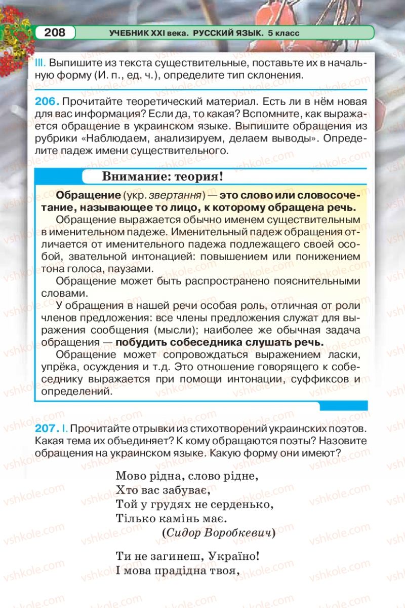 Страница 208 | Підручник Русский язык 5 клас Л.В. Давидюк 2013