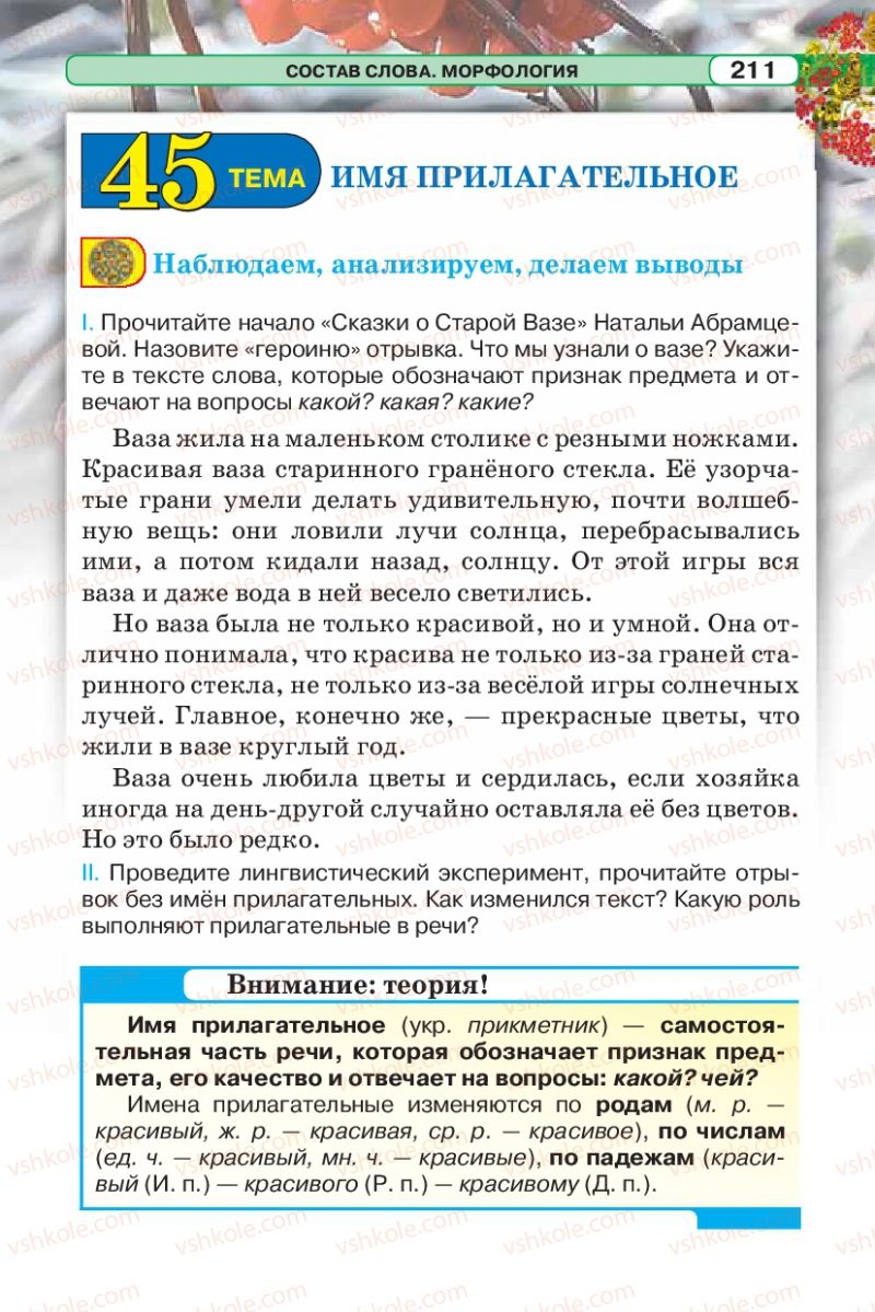 Страница 211 | Підручник Русский язык 5 клас Л.В. Давидюк 2013