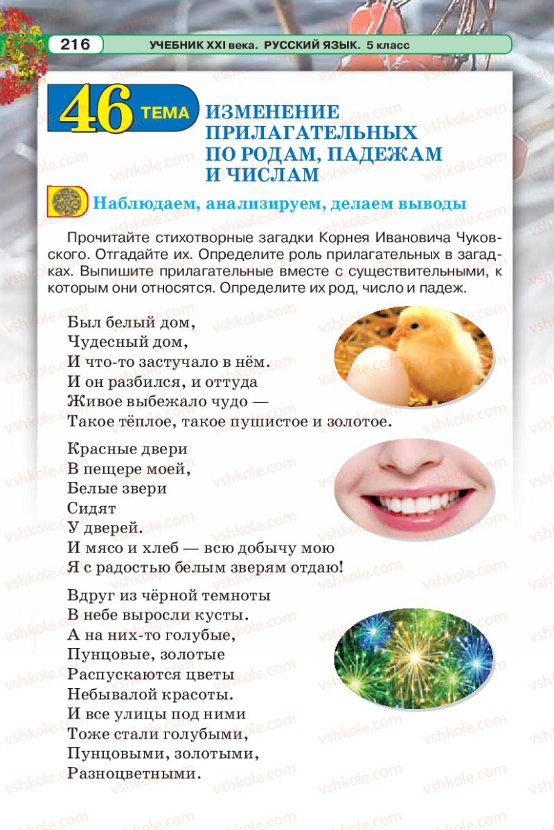Страница 216 | Підручник Русский язык 5 клас Л.В. Давидюк 2013