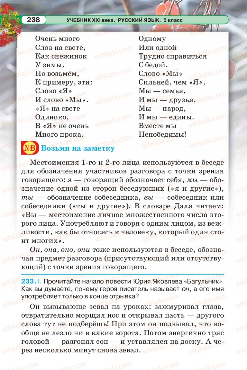 Страница 238 | Підручник Русский язык 5 клас Л.В. Давидюк 2013