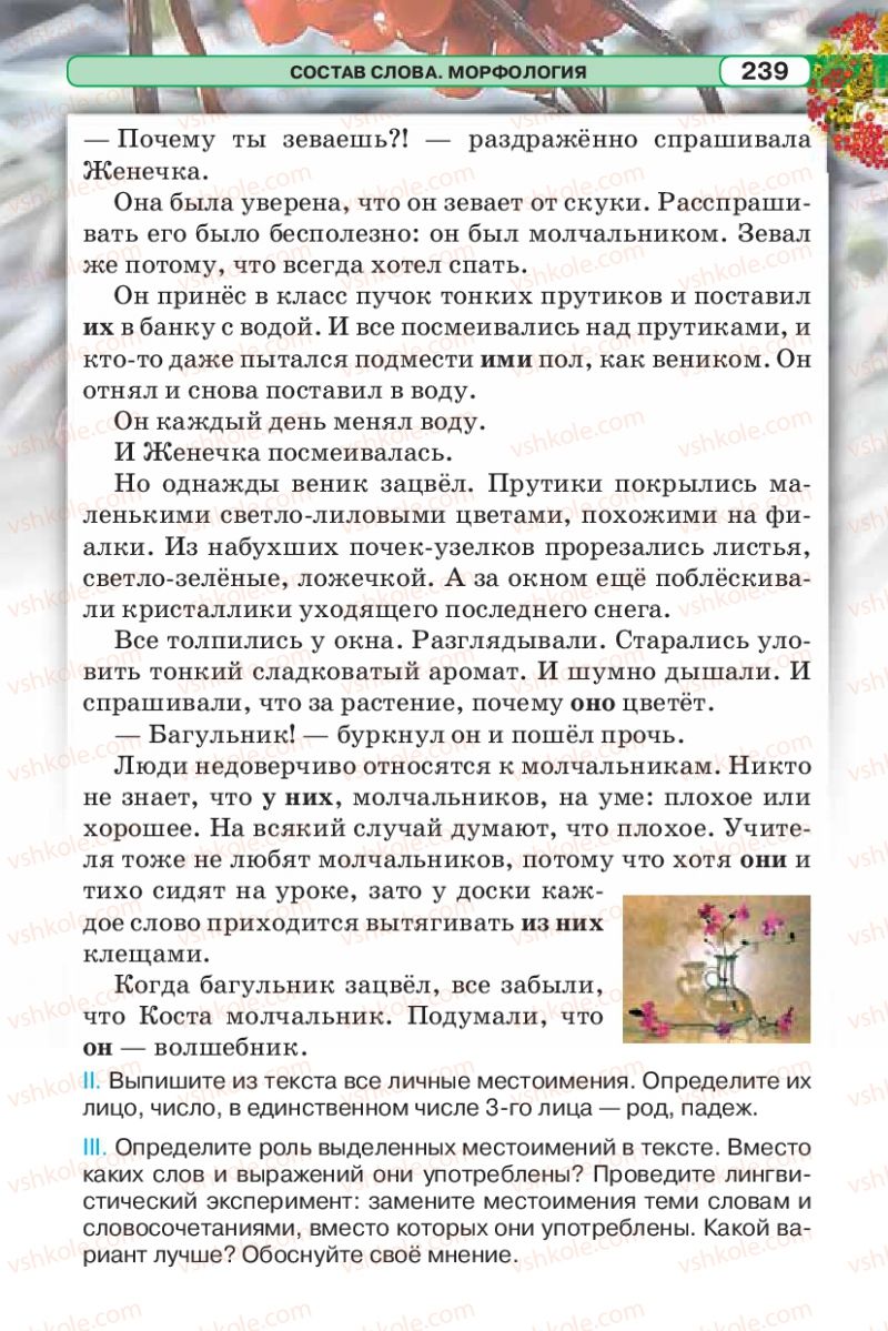 Страница 239 | Підручник Русский язык 5 клас Л.В. Давидюк 2013