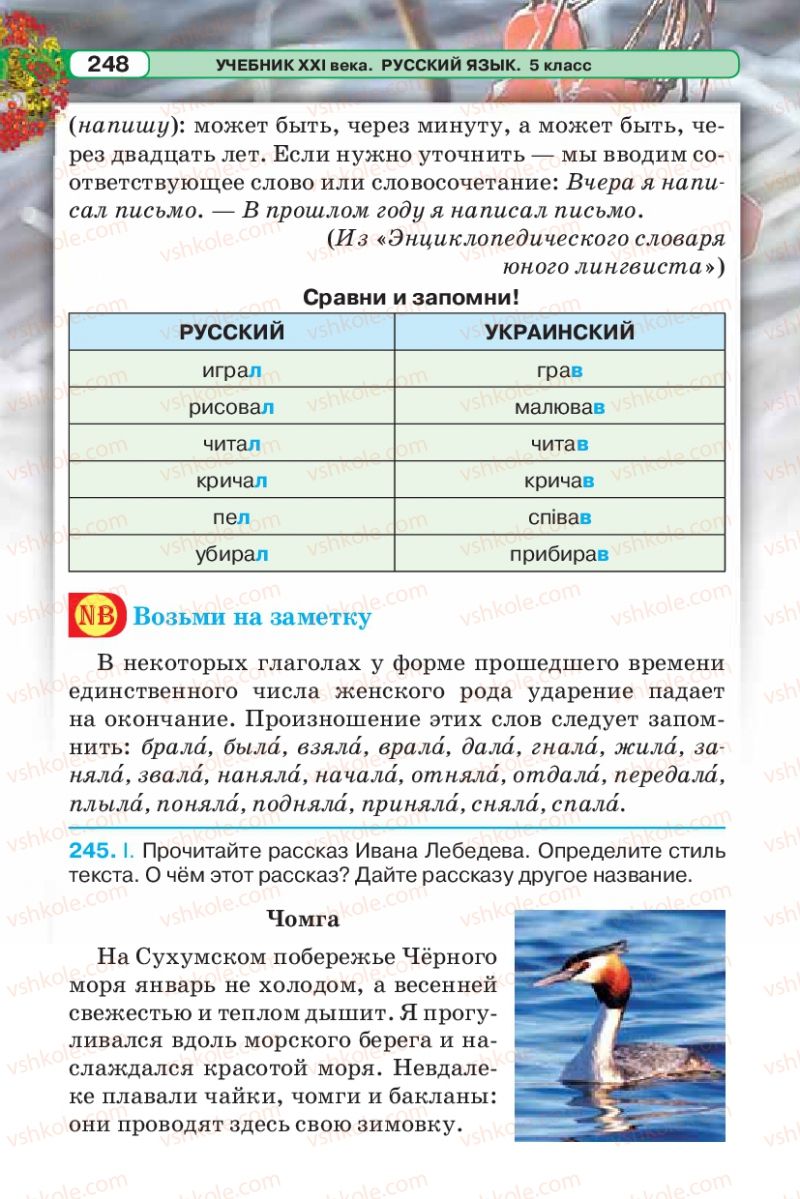 Страница 248 | Підручник Русский язык 5 клас Л.В. Давидюк 2013
