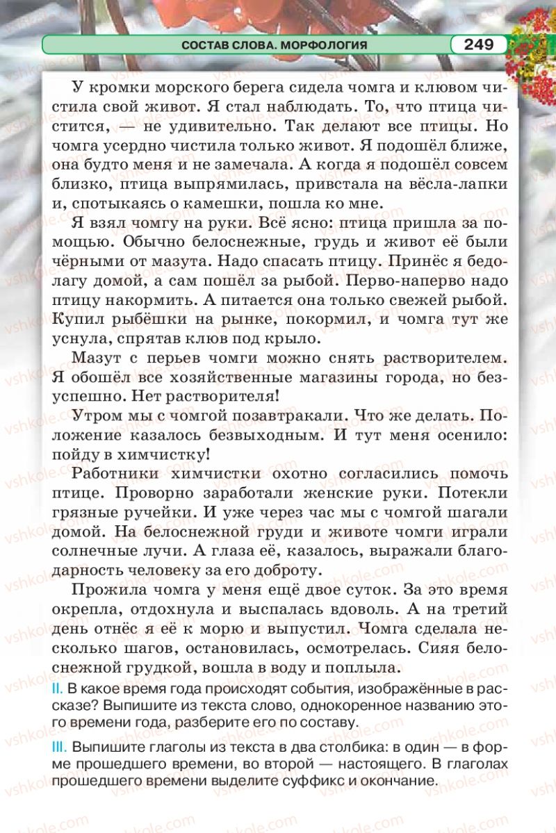 Страница 249 | Підручник Русский язык 5 клас Л.В. Давидюк 2013
