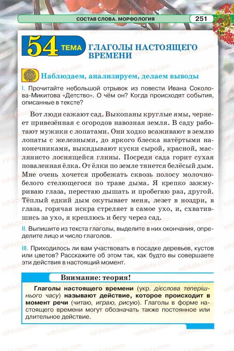 Страница 251 | Підручник Русский язык 5 клас Л.В. Давидюк 2013