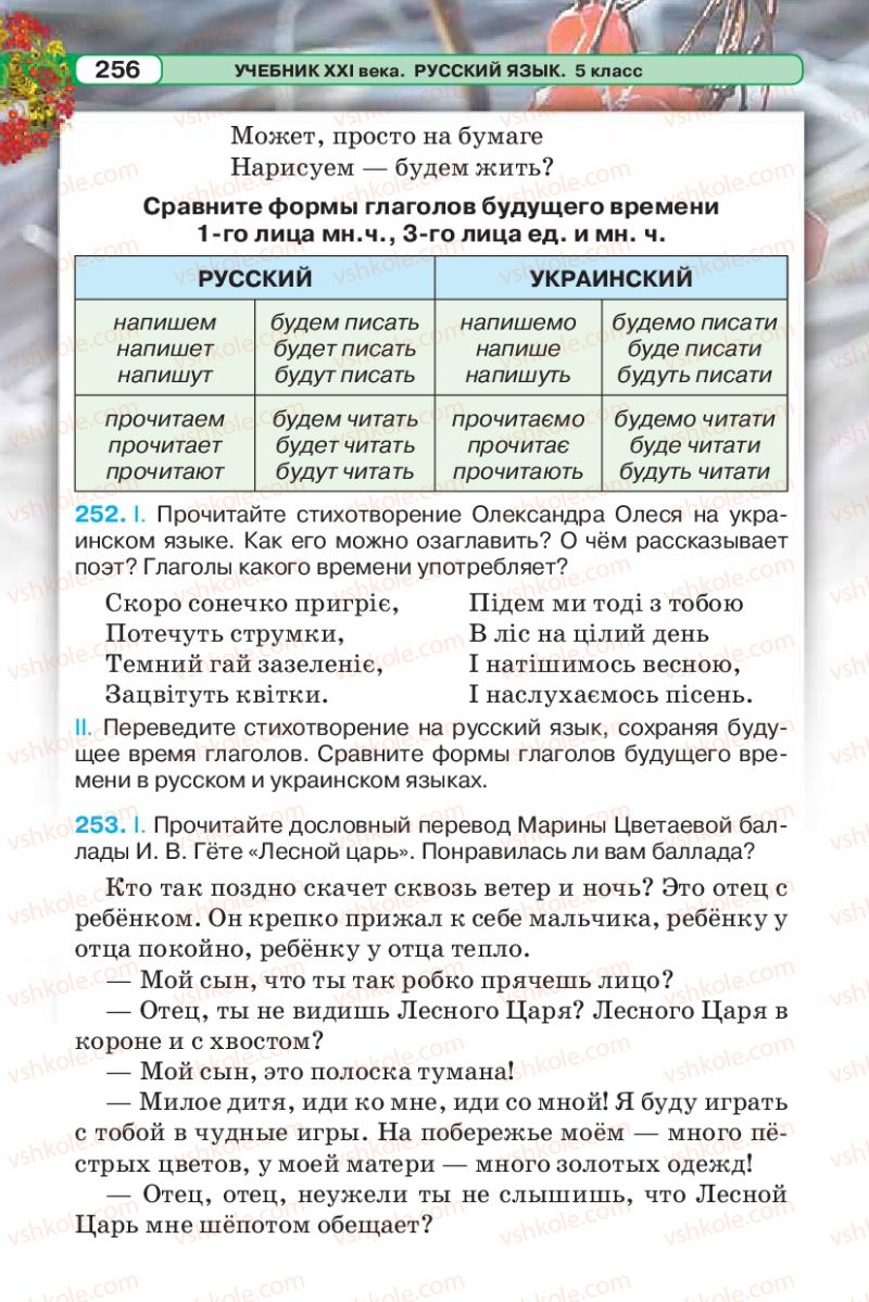 Страница 256 | Підручник Русский язык 5 клас Л.В. Давидюк 2013