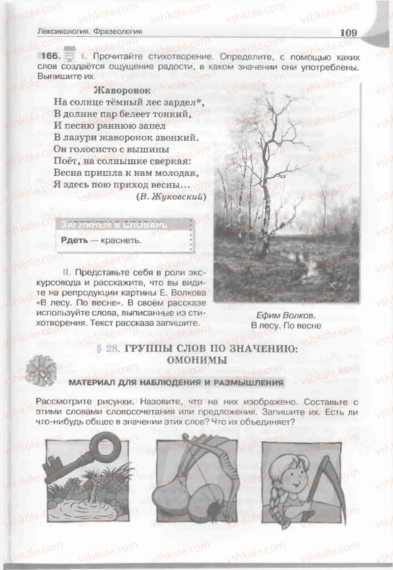 Страница 109 | Підручник Русский язык 5 клас Е.И. Быкова, Л.В. Давидюк, Е.С. Снитко, Е.Ф. Рачко 2013