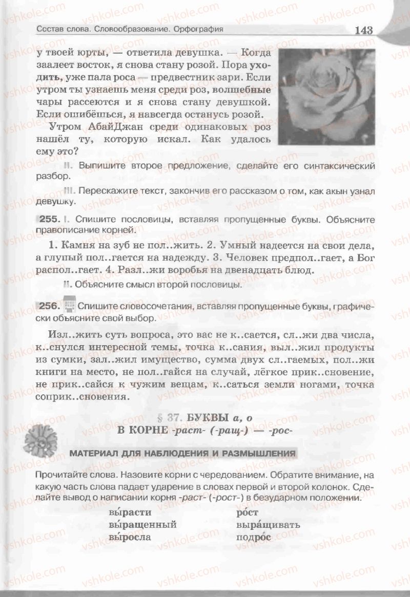 Страница 143 | Підручник Русский язык 5 клас Е.И. Быкова, Л.В. Давидюк, Е.С. Снитко, Е.Ф. Рачко 2013