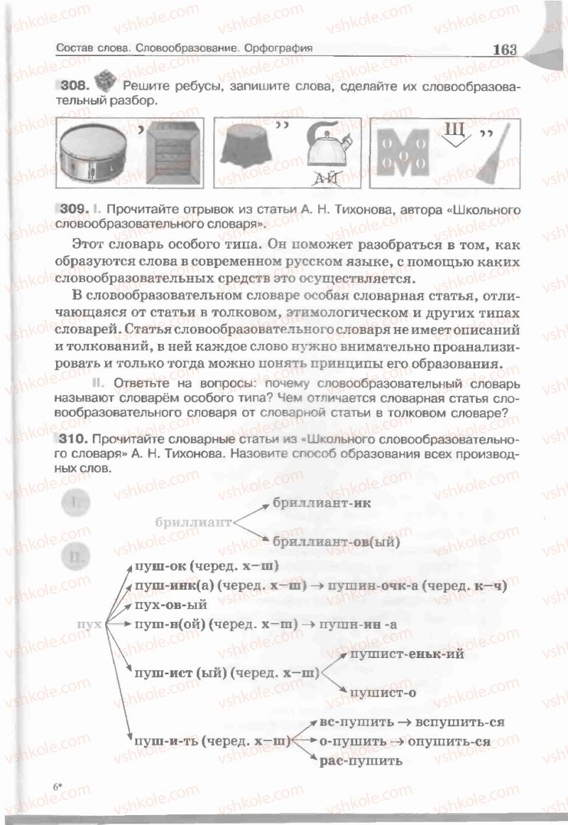 Страница 163 | Підручник Русский язык 5 клас Е.И. Быкова, Л.В. Давидюк, Е.С. Снитко, Е.Ф. Рачко 2013