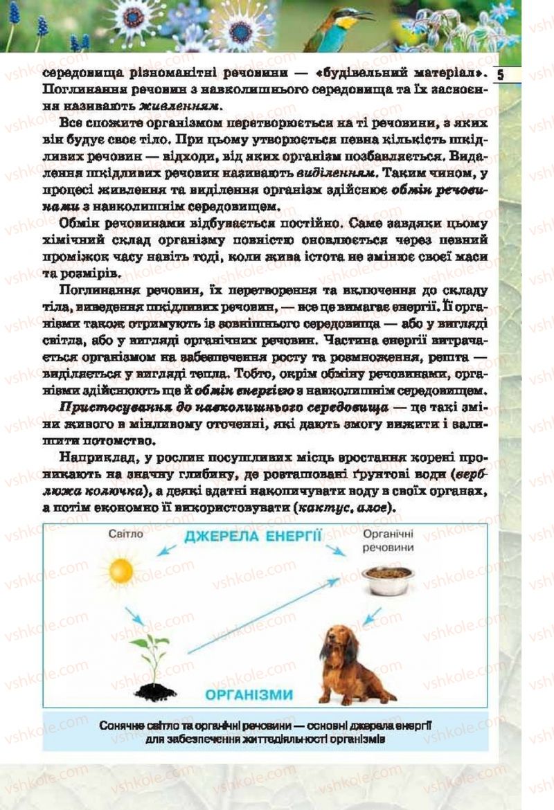 Страница 5 | Підручник Біологія 6 клас І.Ю. Костіков, С.О. Волгін, В.В. Додь 2014