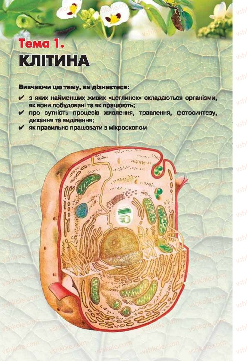 Страница 13 | Підручник Біологія 6 клас І.Ю. Костіков, С.О. Волгін, В.В. Додь 2014