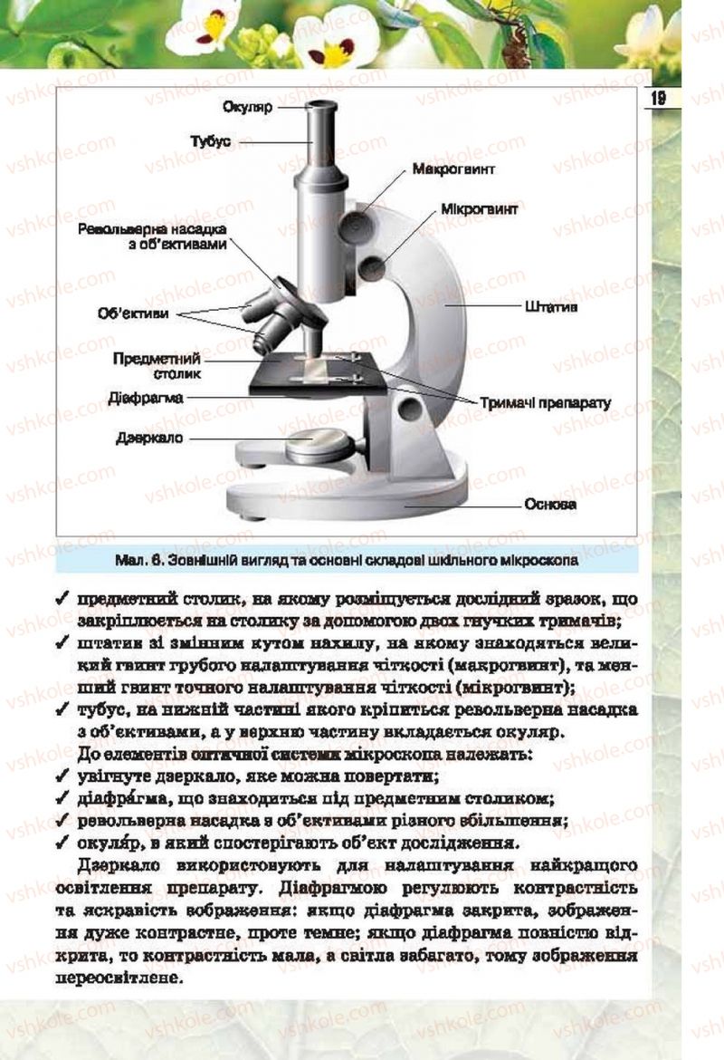 Страница 19 | Підручник Біологія 6 клас І.Ю. Костіков, С.О. Волгін, В.В. Додь 2014