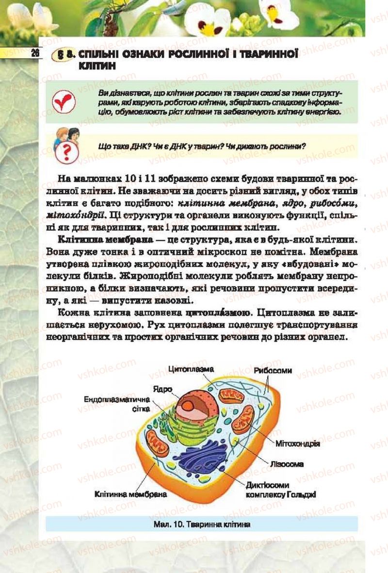 Страница 26 | Підручник Біологія 6 клас І.Ю. Костіков, С.О. Волгін, В.В. Додь 2014