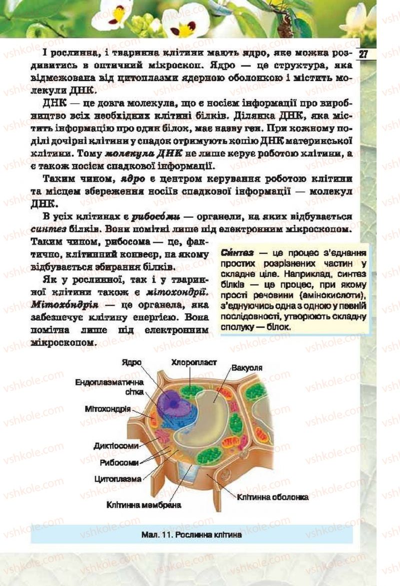 Страница 27 | Підручник Біологія 6 клас І.Ю. Костіков, С.О. Волгін, В.В. Додь 2014