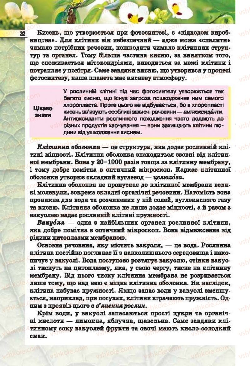Страница 32 | Підручник Біологія 6 клас І.Ю. Костіков, С.О. Волгін, В.В. Додь 2014