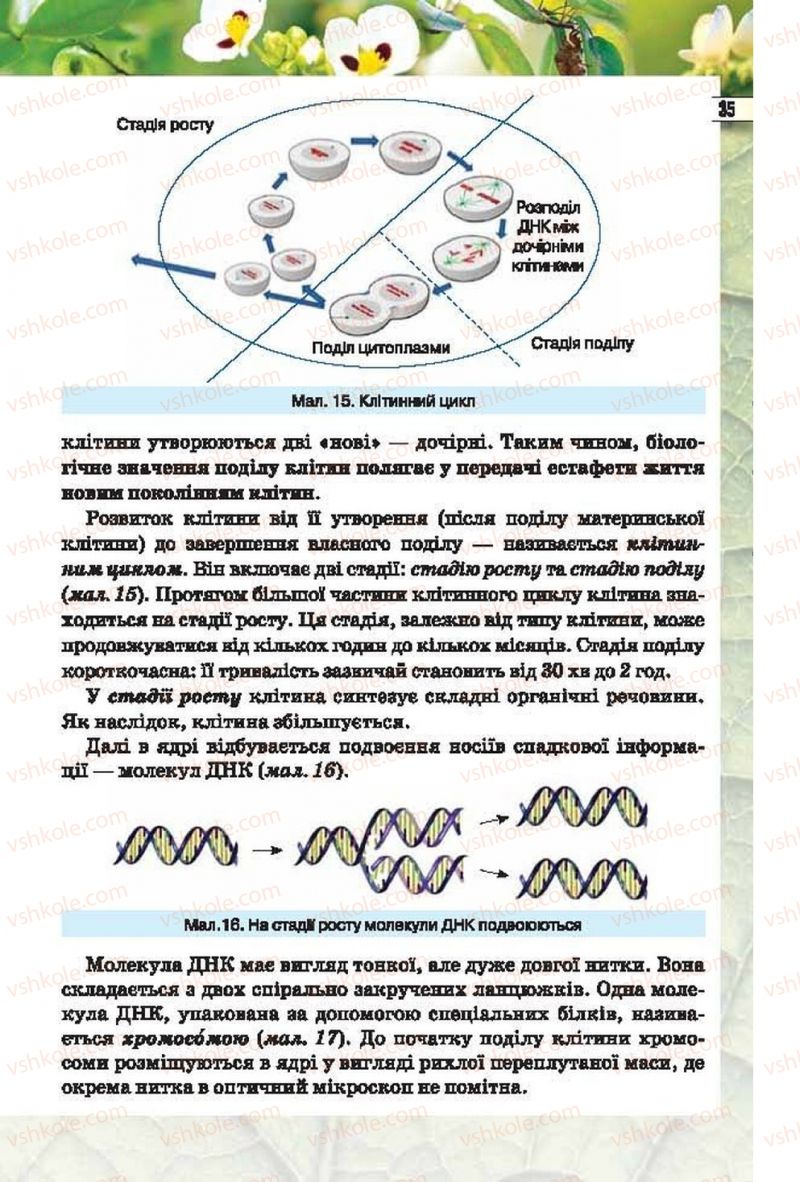 Страница 35 | Підручник Біологія 6 клас І.Ю. Костіков, С.О. Волгін, В.В. Додь 2014