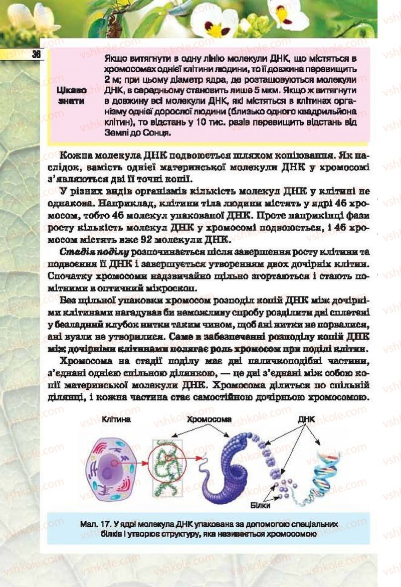 Страница 36 | Підручник Біологія 6 клас І.Ю. Костіков, С.О. Волгін, В.В. Додь 2014