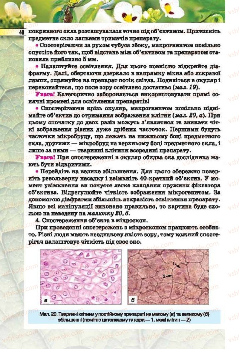 Страница 40 | Підручник Біологія 6 клас І.Ю. Костіков, С.О. Волгін, В.В. Додь 2014