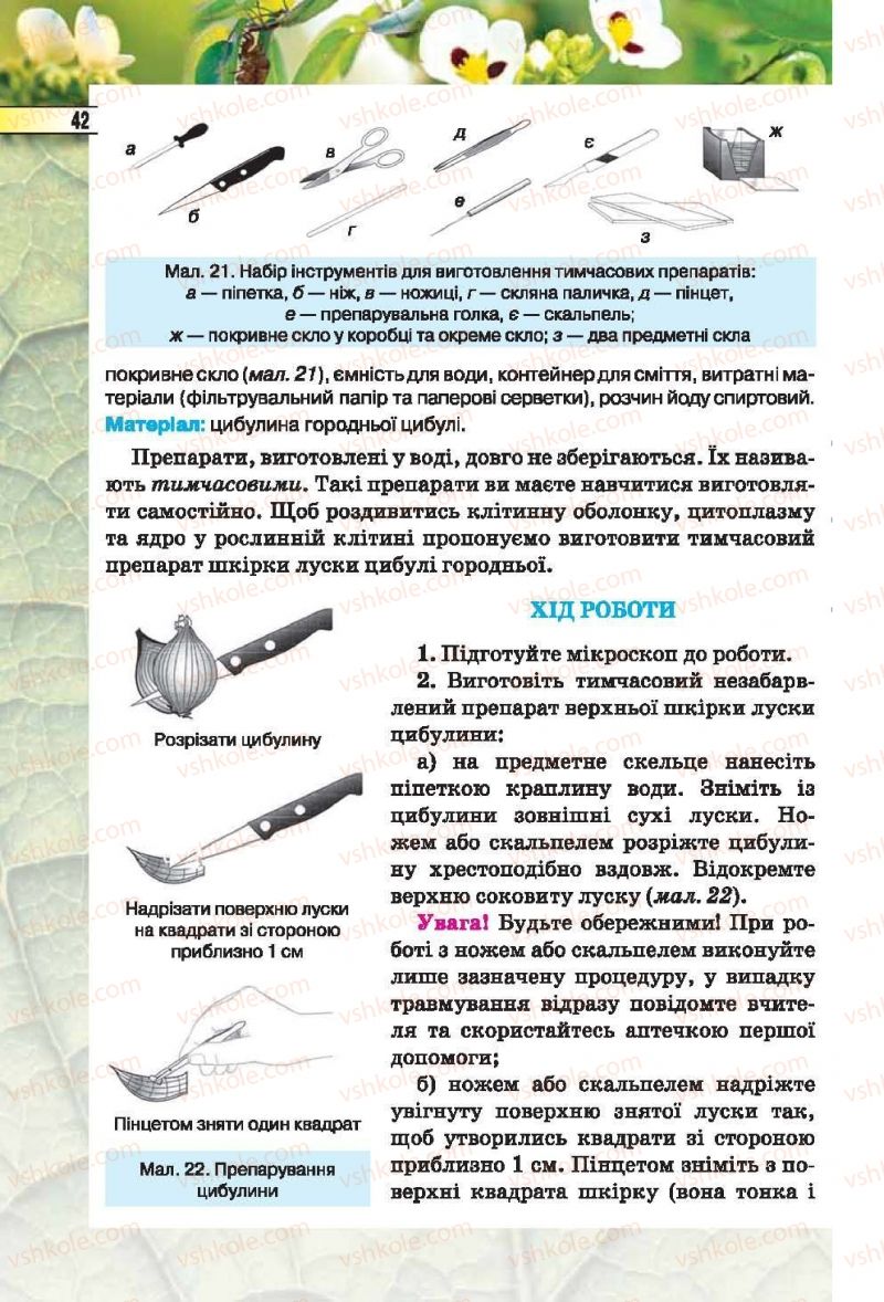 Страница 42 | Підручник Біологія 6 клас І.Ю. Костіков, С.О. Волгін, В.В. Додь 2014