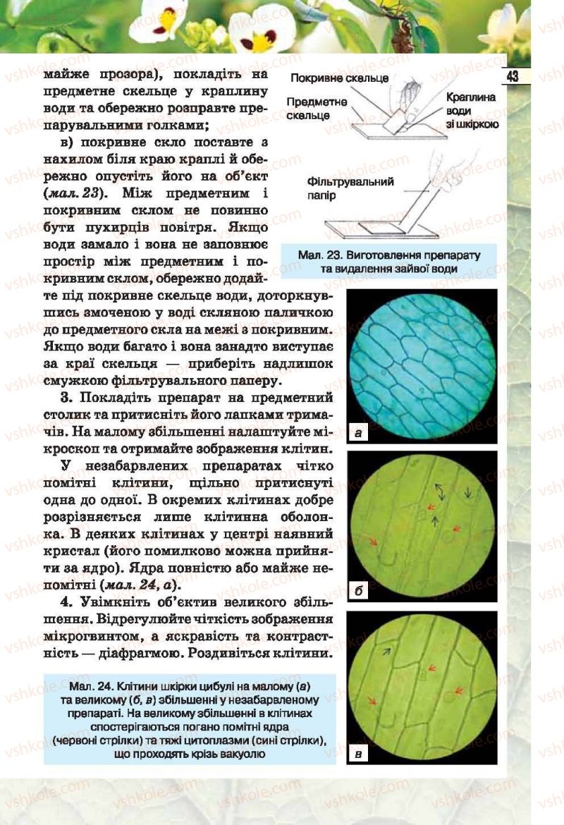 Страница 43 | Підручник Біологія 6 клас І.Ю. Костіков, С.О. Волгін, В.В. Додь 2014