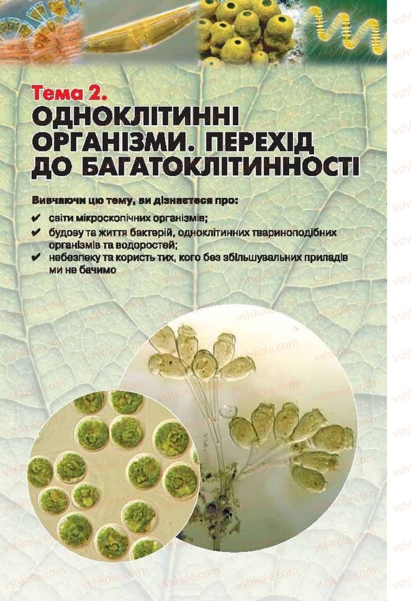 Страница 47 | Підручник Біологія 6 клас І.Ю. Костіков, С.О. Волгін, В.В. Додь 2014