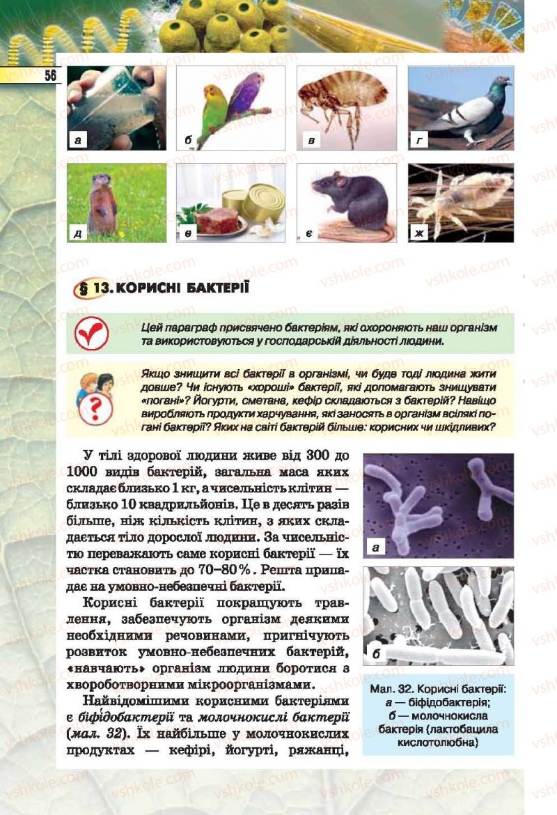 Страница 56 | Підручник Біологія 6 клас І.Ю. Костіков, С.О. Волгін, В.В. Додь 2014