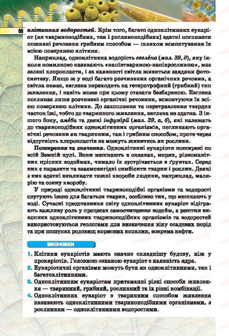 Страница 66 | Підручник Біологія 6 клас І.Ю. Костіков, С.О. Волгін, В.В. Додь 2014
