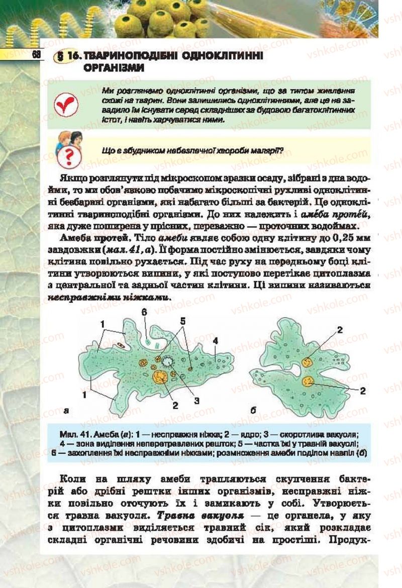 Страница 68 | Підручник Біологія 6 клас І.Ю. Костіков, С.О. Волгін, В.В. Додь 2014